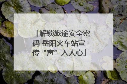解锁旅途安全密码 岳阳火车站宣传“声”入人心