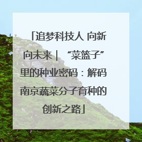 追梦科技人 向新向未来｜“菜篮子”里的种业密码：解码南京蔬菜分子育种的创新之路