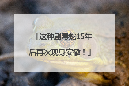 这种剧毒蛇15年后再次现身安徽！