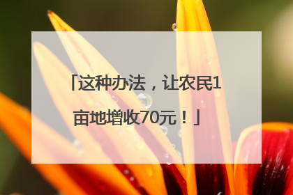 这种办法，让农民1亩地增收70元！