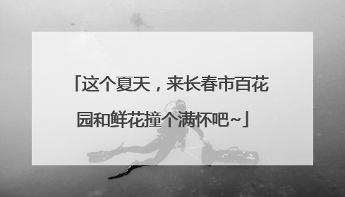 这个夏天，来长春市百花园和鲜花撞个满怀吧~