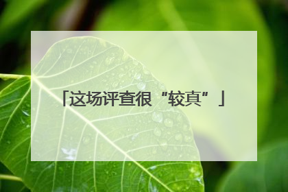 这场评查很“较真”