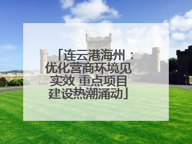 连云港海州：优化营商环境见实效 重点项目建设热潮涌动