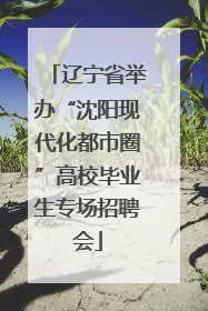 辽宁省举办“沈阳现代化都市圈”高校毕业生专场招聘会