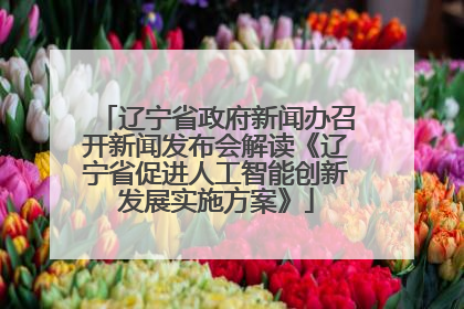 辽宁省政府新闻办召开新闻发布会解读《辽宁省促进人工智能创新发展实施方案》