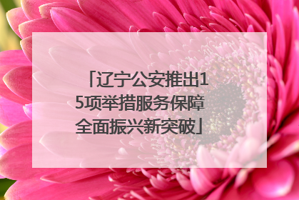 辽宁公安推出15项举措服务保障全面振兴新突破