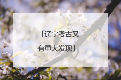 辽宁考古又有重大发现
