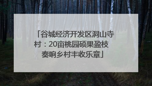 谷城经济开发区洞山寺村：20亩桃园硕果盈枝 奏响乡村丰收乐章