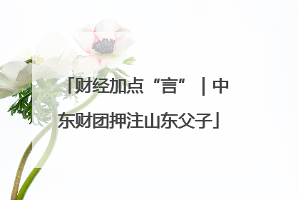 财经加点“言”｜中东财团押注山东父子