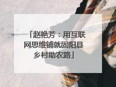 赵艳芳：用互联网思维铺就固阳县乡村助农路