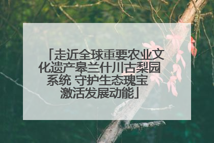 走近全球重要农业文化遗产皋兰什川古梨园系统 守护生态瑰宝 激活发展动能