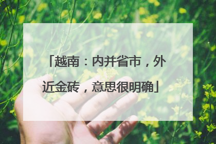 越南：内并省市，外近金砖，意思很明确