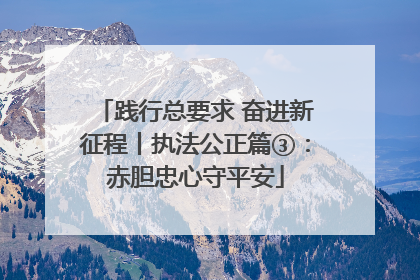 践行总要求 奋进新征程丨执法公正篇③：赤胆忠心守平安