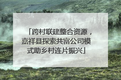 跨村联建整合资源，嘉祥县探索共富公司模式助乡村连片振兴