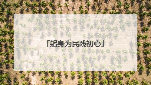 躬身为民践初心