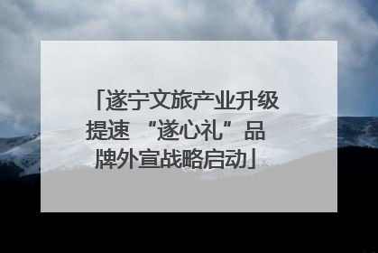 遂宁文旅产业升级提速 “遂心礼”品牌外宣战略启动