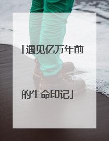 遇见亿万年前的生命印记