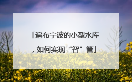 遍布宁波的小型水库，如何实现“智”管