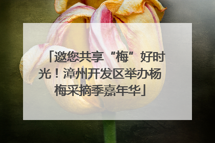 邀您共享“梅”好时光！漳州开发区举办杨梅采摘季嘉年华