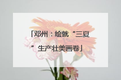 邓州：绘就“三夏”生产壮美画卷