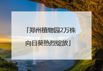 郑州植物园2万株向日葵热烈绽放