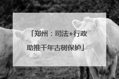 郑州：司法+行政助推千年古树保护
