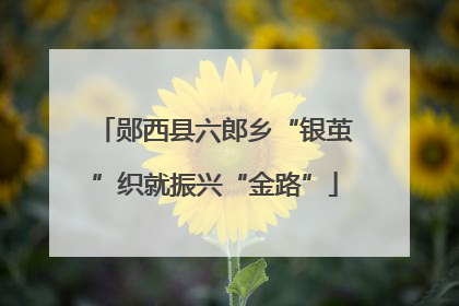 郧西县六郎乡“银茧”织就振兴“金路”