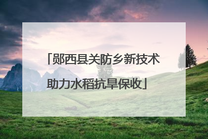 郧西县关防乡新技术助力水稻抗旱保收