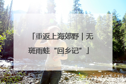 重返上海郊野｜无斑雨蛙“回乡记”