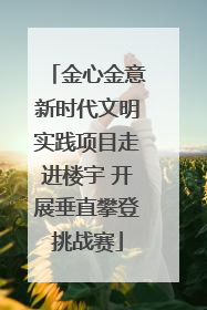 金心金意新时代文明实践项目走进楼宇 开展垂直攀登挑战赛