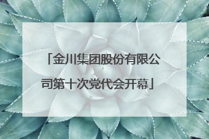 金川集团股份有限公司第十次党代会开幕