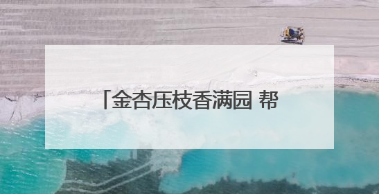 金杏压枝香满园 帮扶结出“幸福果”