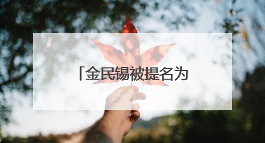 金民锡被提名为韩国国务总理