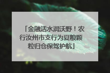 金融活水润沃野！农行汝州市支行为夏粮颗粒归仓保驾护航