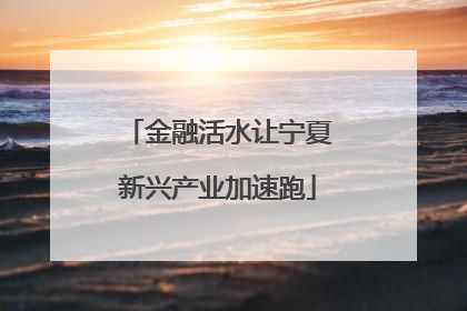 金融活水让宁夏新兴产业加速跑