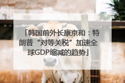 韩国前外长康京和：特朗普“对等关税”加速全球GDP缩减的趋势