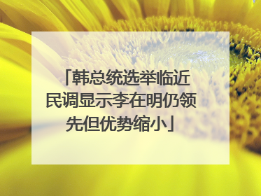 韩总统选举临近 民调显示李在明仍领先但优势缩小