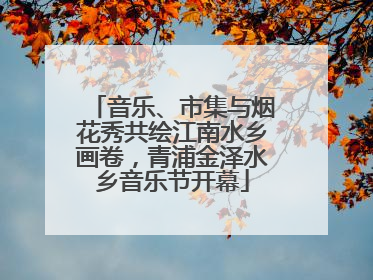 音乐、市集与烟花秀共绘江南水乡画卷，青浦金泽水乡音乐节开幕