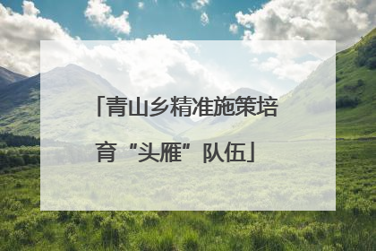 青山乡精准施策培育“头雁”队伍