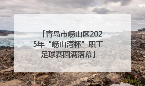 青岛市崂山区2025年“崂山湾杯”职工足球赛圆满落幕