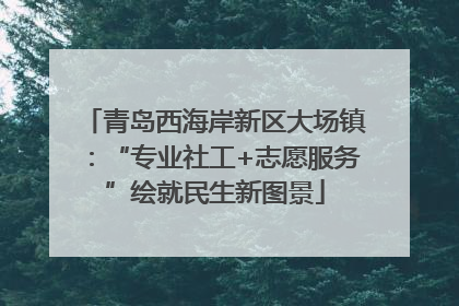 青岛西海岸新区大场镇：“专业社工+志愿服务”绘就民生新图景