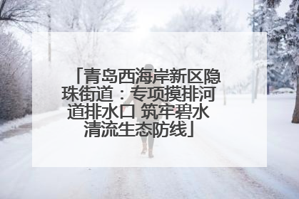 青岛西海岸新区隐珠街道：专项摸排河道排水口 筑牢碧水清流生态防线