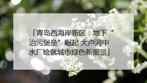 青岛西海岸新区：地下“治污堡垒”崛起 大卢河中水厂绘就城市绿色新图景