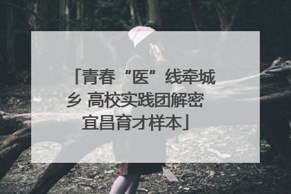 青春“医”线牵城乡 高校实践团解密宜昌育才样本