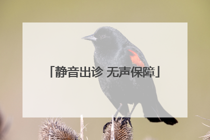 静音出诊 无声保障