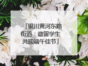 银川黄河东路街道：邀留学生共迎端午佳节