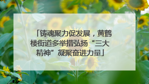 铸魂聚力促发展，黄鹤楼街道多举措弘扬“三大精神”凝聚奋进力量