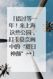 错过等一年！来上海这些公园，打卡莫奈画中的“夏日神颜”→