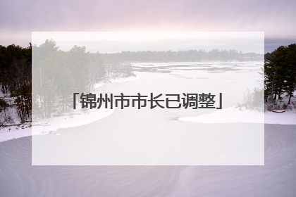 锦州市市长已调整