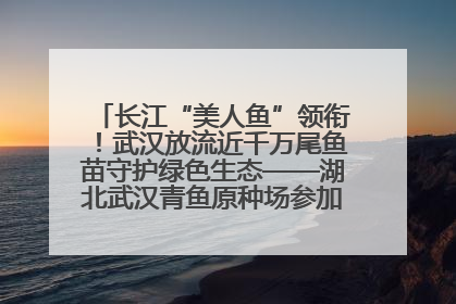 长江“美人鱼”领衔！武汉放流近千万尾鱼苗守护绿色生态——湖北武汉青鱼原种场参加2025年“全国放鱼日”增殖放流活动